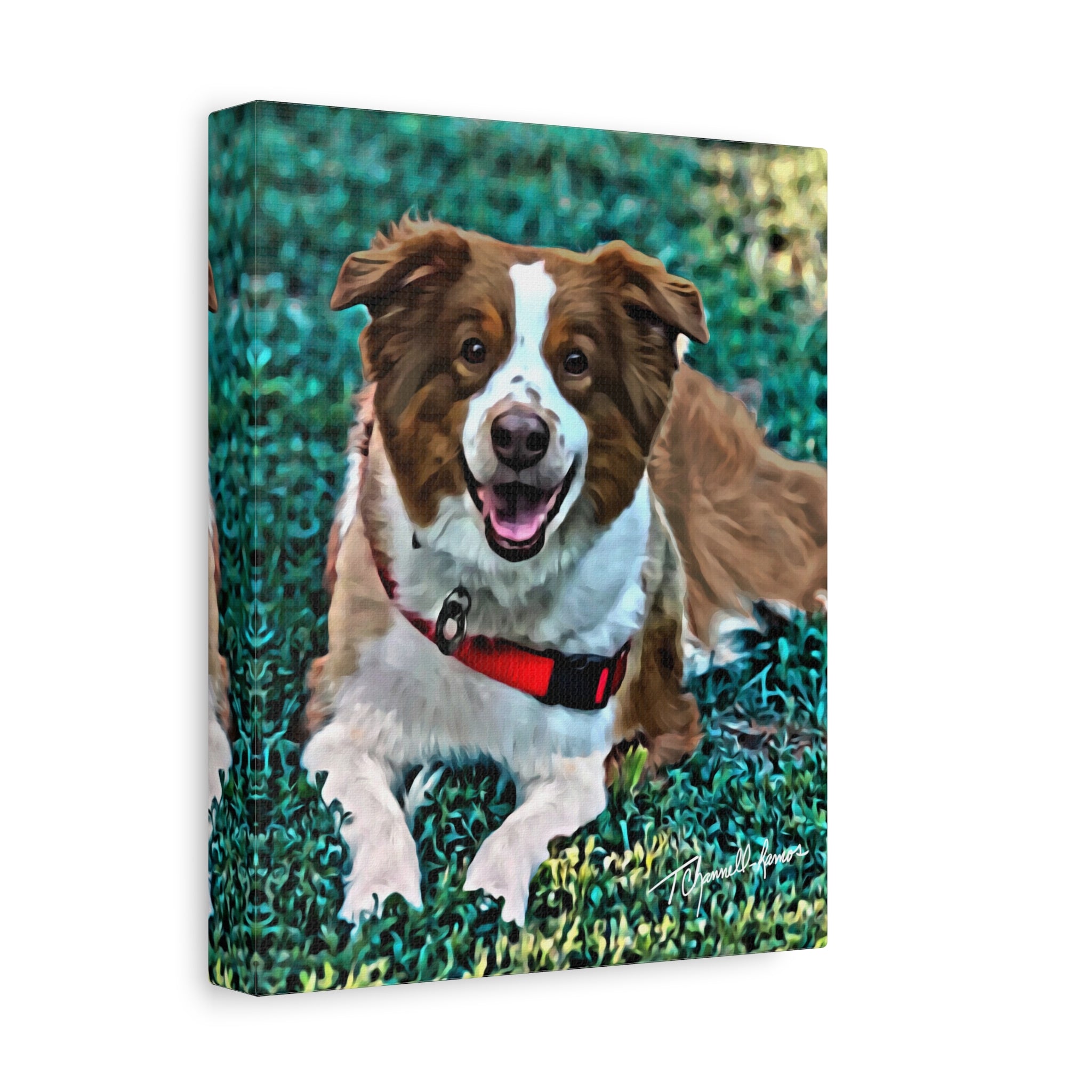 Fort Wayne Roxy Portrait